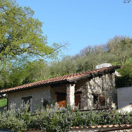 Complesso Agrituristico La Ciriola Villa Piediluco Bagian luar foto